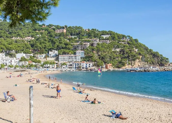 1peral01 - 러프렌치